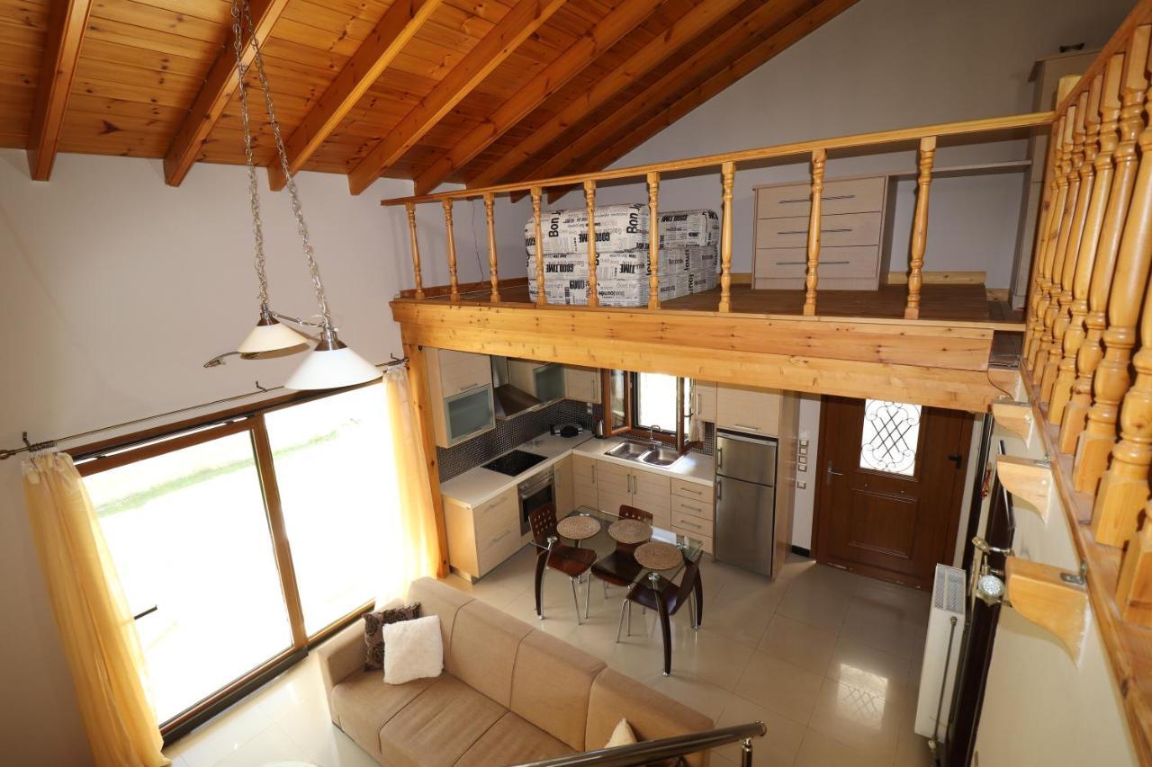 Theonymfi Luxury Villas Doukádes Extérieur photo